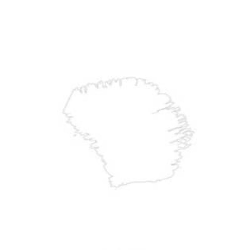 PINTURA ACRÍLICA BLANCO