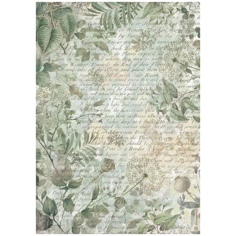 Papel de arroz Fondo de hojas Herbarium Silvae Stamperia 21x30cm